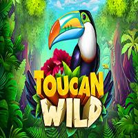 Toucan Wild